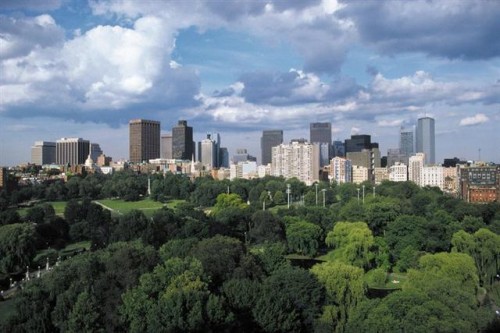 «GEOS Boston»